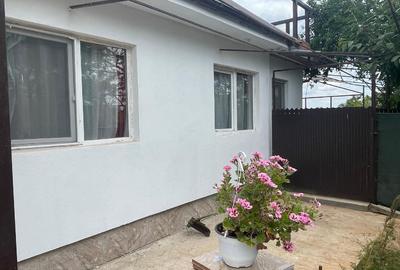 Vânzare casă nouă, 128 mp utili, teren 4.500 mp – Comuna Balta Albă, Sat Amara, - 2
