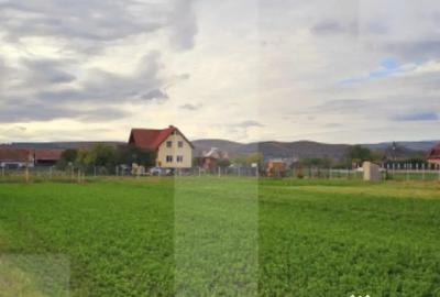 Teren de 1000 mp, în Chilieni