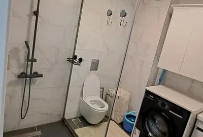 Apartament cu 2 camere decomandat, mobilat în Theodor Pallady - 7
