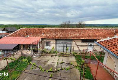 Casă cu 6 camere cu Teren 4845 Mp în Dobrești - 2