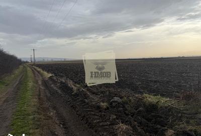 Teren de 20300 mp, în Central - 2