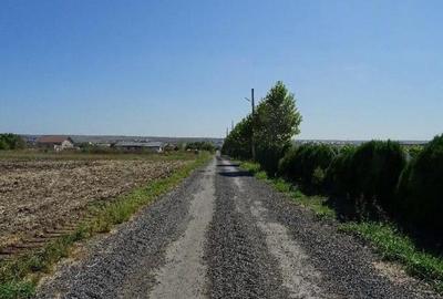 Teren de 5000 mp, în Valu lui Traian - 2