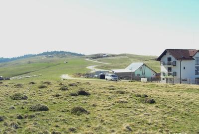 Teren de 10632 mp, în Paltin - 5