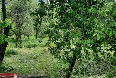 Casă cu 5 camere în Vulcana de Sus - 10