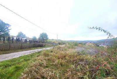 Teren de vanzare Barnova, cu priveliste Vanzare imediata - 5