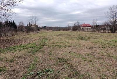 Teren Lacul Snagov Manastirea Snagov - 2