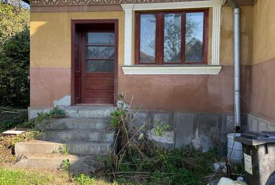 Casă cu 2 camere în Măhăceni - 3