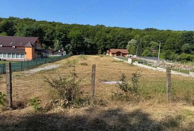 Teren de 3258 mp, în Hidiș - 2