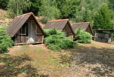 Vind casa de vacanta cu trei casute si pescarie - 2