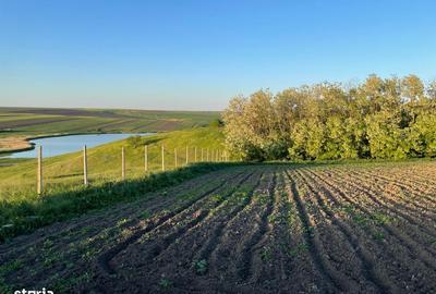 Teren de 3100 mp, în Bălțați - 3