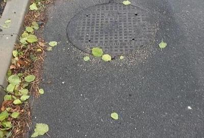 Teren de 3200 mp, în Valu lui Traian