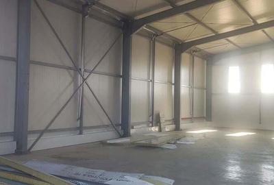 Spațiu comercial, de 538 mp, în Frumușani - 4