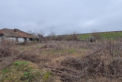 Teren Construcții intravilan de 924 mp, în Dridu - 5