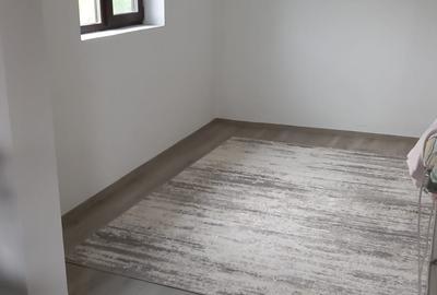 Vanzare proprietate- casa si teren Gheboieni Dambovita - 9
