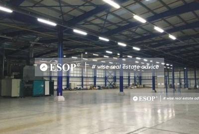 Spațiu comercial, de 4,500 mp, în Remetea Mare - 3