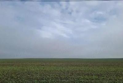 Teren de 1498 mp, în Orbeasca - 5