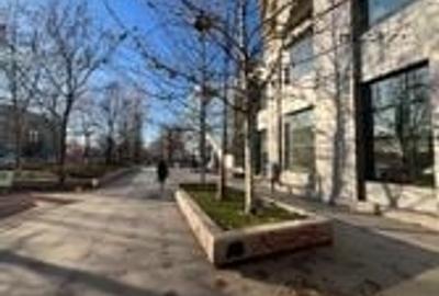 Spațiu comercial, de 485 mp, în P-ța Unirii - 3