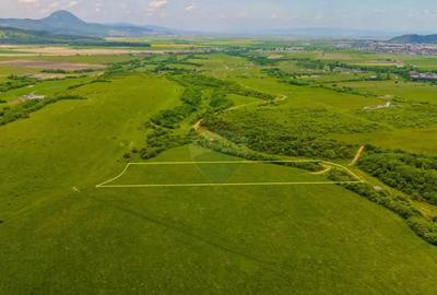 Teren de 10800 mp, în Râșnov - 7