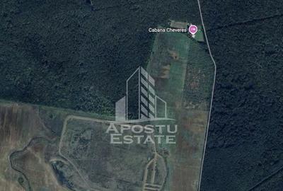 Teren 27000 mp, ideal centru seniori,liziera padurii, Che... - 1