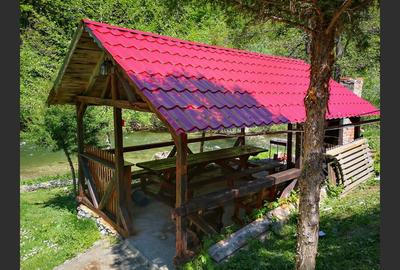 Casa de vacanta perfecta pe malul Cernei - 4