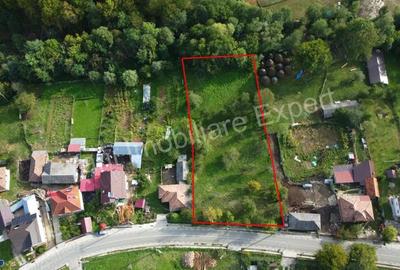 Teren de 2491 mp, în Arefu