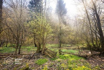 Casă individuală cu 3 camere cu Canalizare în Măgulicea - 17