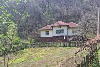 Vand casa in zona de munte, com. Podeni, jud. Mehedin?i. - 10