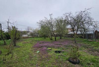 Mihailesti - Teren intravilan toate utilitatile - 3