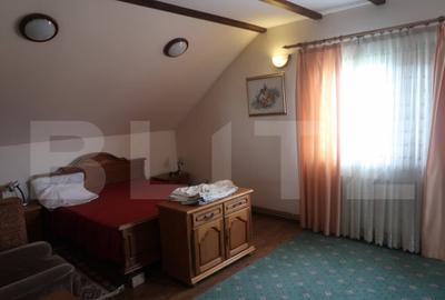 Casa, 7 Camere, Paulesti, teren 1700mp - 11