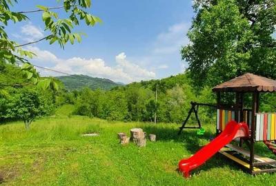 Spațiu comercial, de 600 mp, în Vișeu de Jos - 5