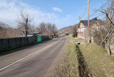 Casă individuală cu 4 camere cu Teren 1523 Mp în Cărbunești - 16