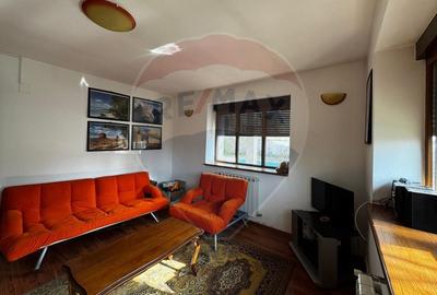 Casa de vanzare cu livada si piscina - Giurgiu - 16