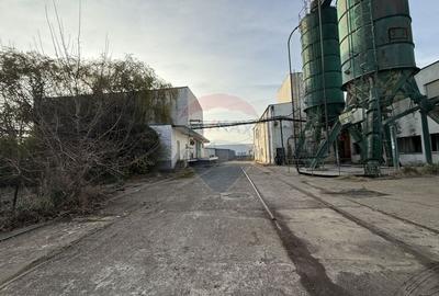 80,968mp Teren curti constructii in zona industriala Buzau - 5
