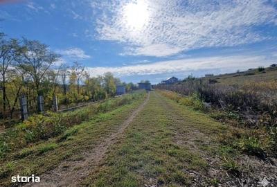 Teren de 1000 mp, în Smârdan - 1