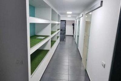 Basarabiei spatiu comercial cu teren si constructie locuinta  . - 3