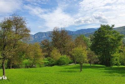 Teren de 2200 mp, în Sălciua - 1