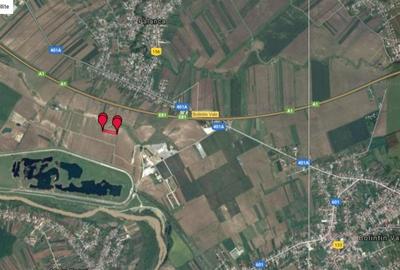 Teren agricol intravilan de 6000 mp, în Bolintin-Vale - 3