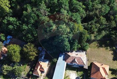 Casă cu Teren 1452 Mp în Mihăești - 6