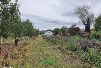 Teren de 1200 mp, în Goranu - 5