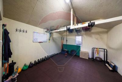 Ansamblu rezidențial cu casă principală și anexe, teren 1.487 mp - 17