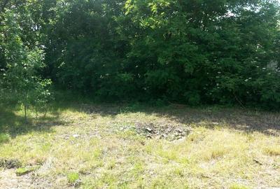 Teren de 1443 mp, în Exterior Vest - 4