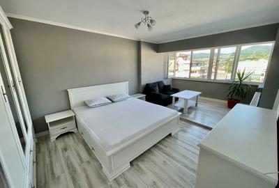 Apartament modern 1 camera zona Decebal - 2