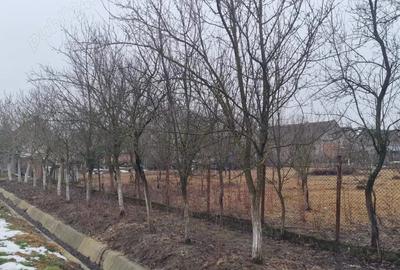 Casa cu teren generos de vanzare in Buteni, jud. Arad, vantana in curte, anexe, colne - 5