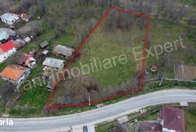 Teren de 2674 mp, în Cepari - 3