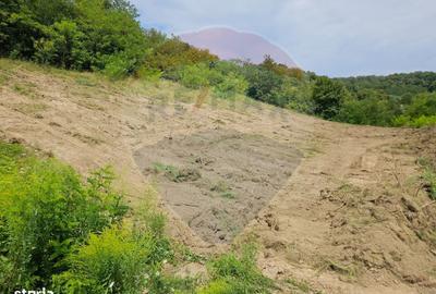 Teren de 1600 mp, în Central