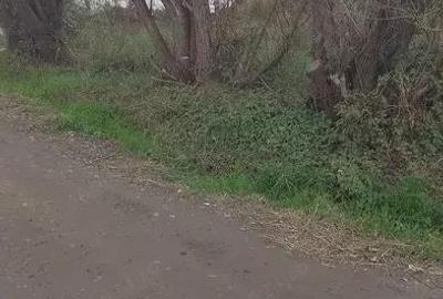 Teren de 507 mp, în Cisnădioara - 1