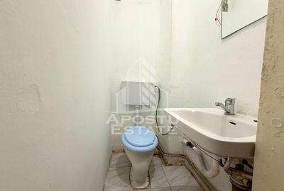 Apartament 3 camere, centrala proprie, ideal pentru muncitori, Lipovei Apartament 3 camere, centrala proprie, ideal pentru muncitori, Lipovei - 10