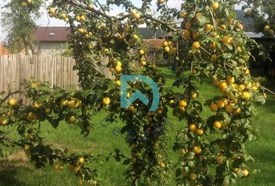 Casă individuală cu 4 camere cu Canalizare în Central - 34