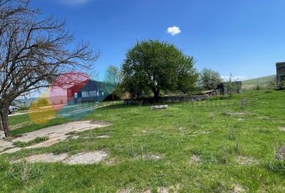 Teren Intravilan 16.000 Mp situat la DN–E81 Zalau-Cluj - 5