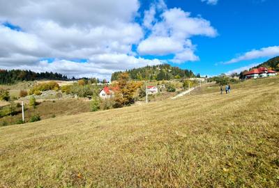 TEREN INTRAVILAN-EXTRAVILAN SPECTACULOS LANGA RESORTUL CHEILE GRADISTEI -FUNDATA - 10